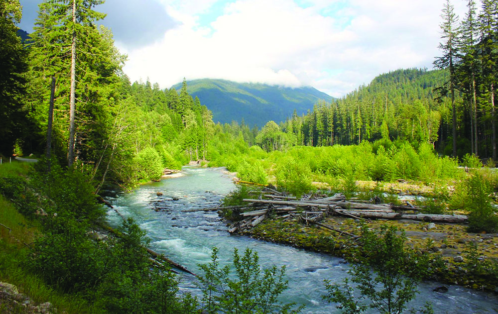 suiattle-river_scenery_1000