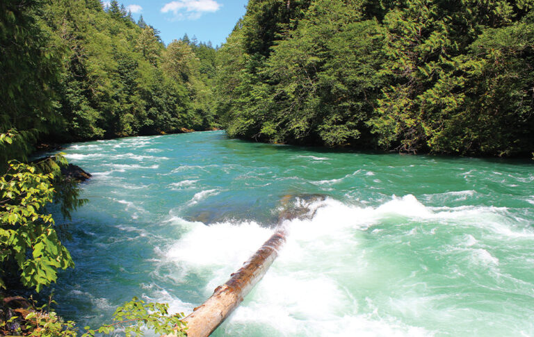 seattle_skagit_river_whitewater_1000
