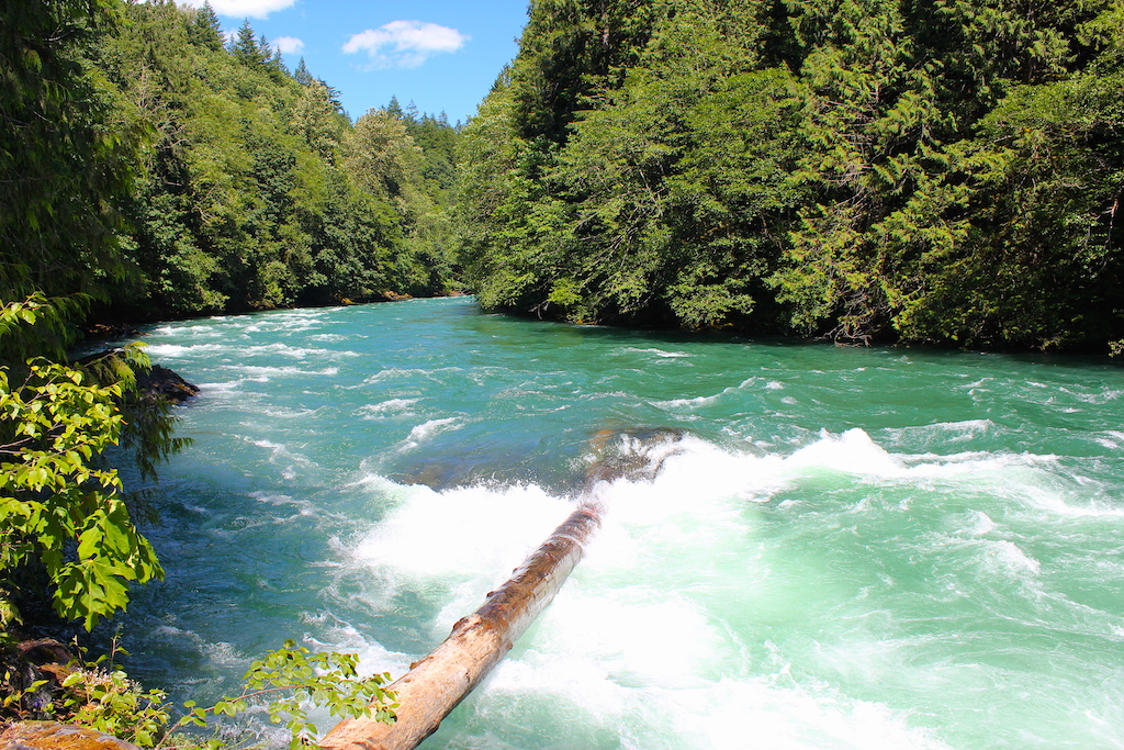 seattle_skagit_river_whitewater
